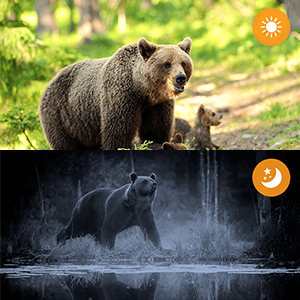 CAMPARK WiFi Trail Camera 20MP 1296P Hunting Game Camera Bluetooth with 850nm Night Vision 120° Wide-Angle Motion Activated IP66 Waterproof Trail Cam for Wildlife Monitoring