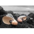 thumbnail image 2 of Blaustein, Alan 18x13 Black Ornate Wood Framed with Double Matting Museum Art Print Titled - Crescent Beach Shells 2, 2 of 4