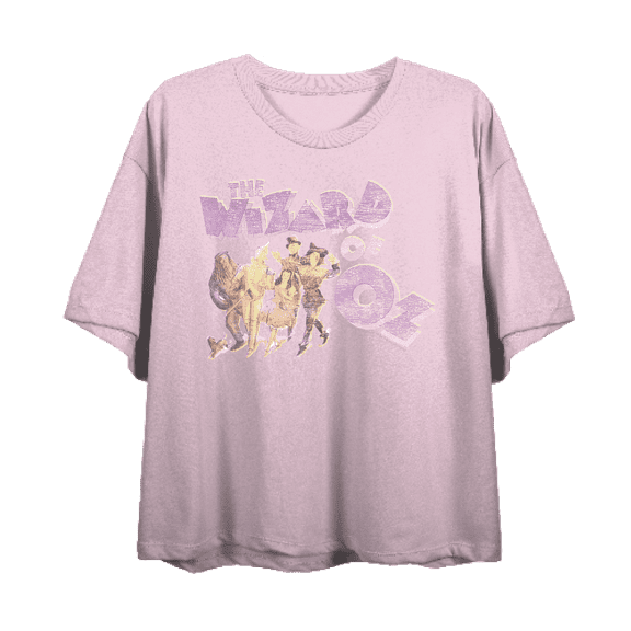 Wizard Of Oz Cartoon Group Shot Women's Pink Crew Neck Short Sleeve Crop Tee-Medium