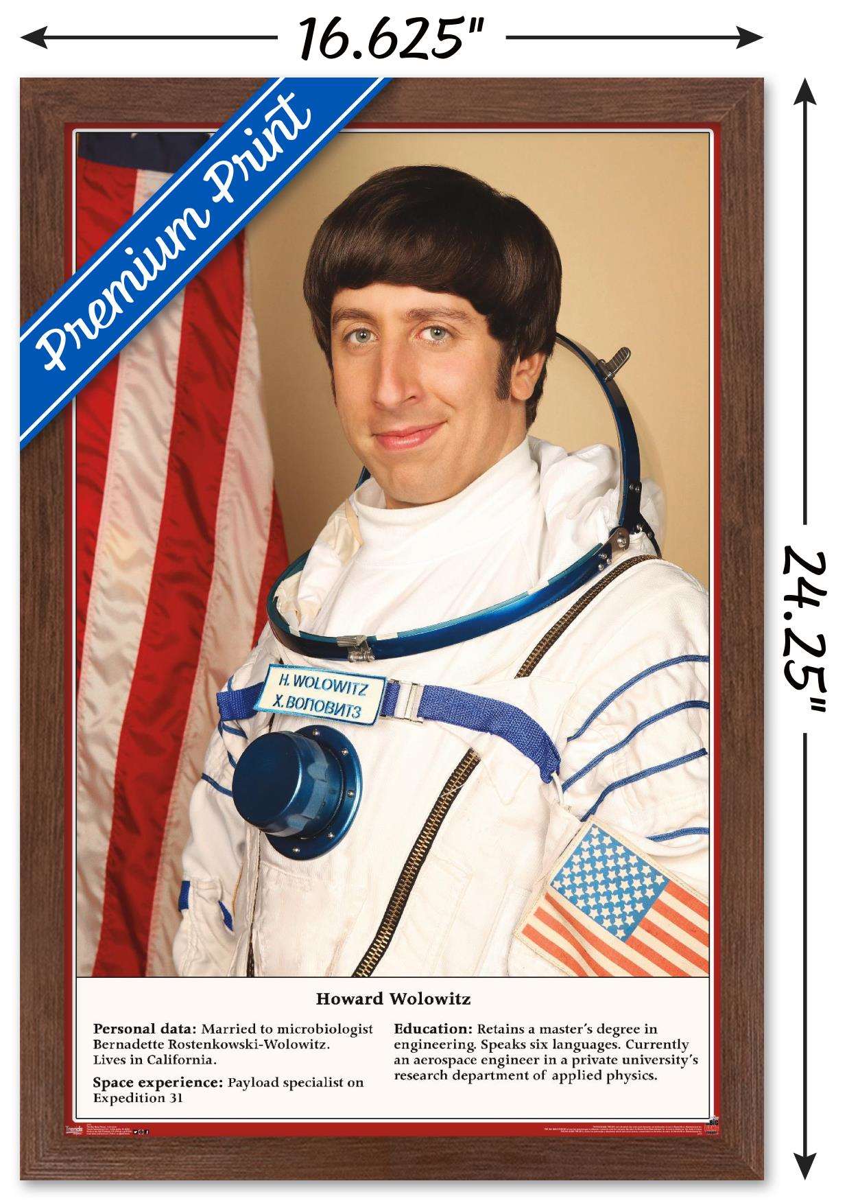 The Big Bang Theory - Astronaut Wall Poster, 14.725" x 22.375", Framed