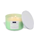 thumbnail image 2 of Rainforest Reset Scented Jar Candle (15 oz) – Elemental Aromatics Collection, 2 of 5