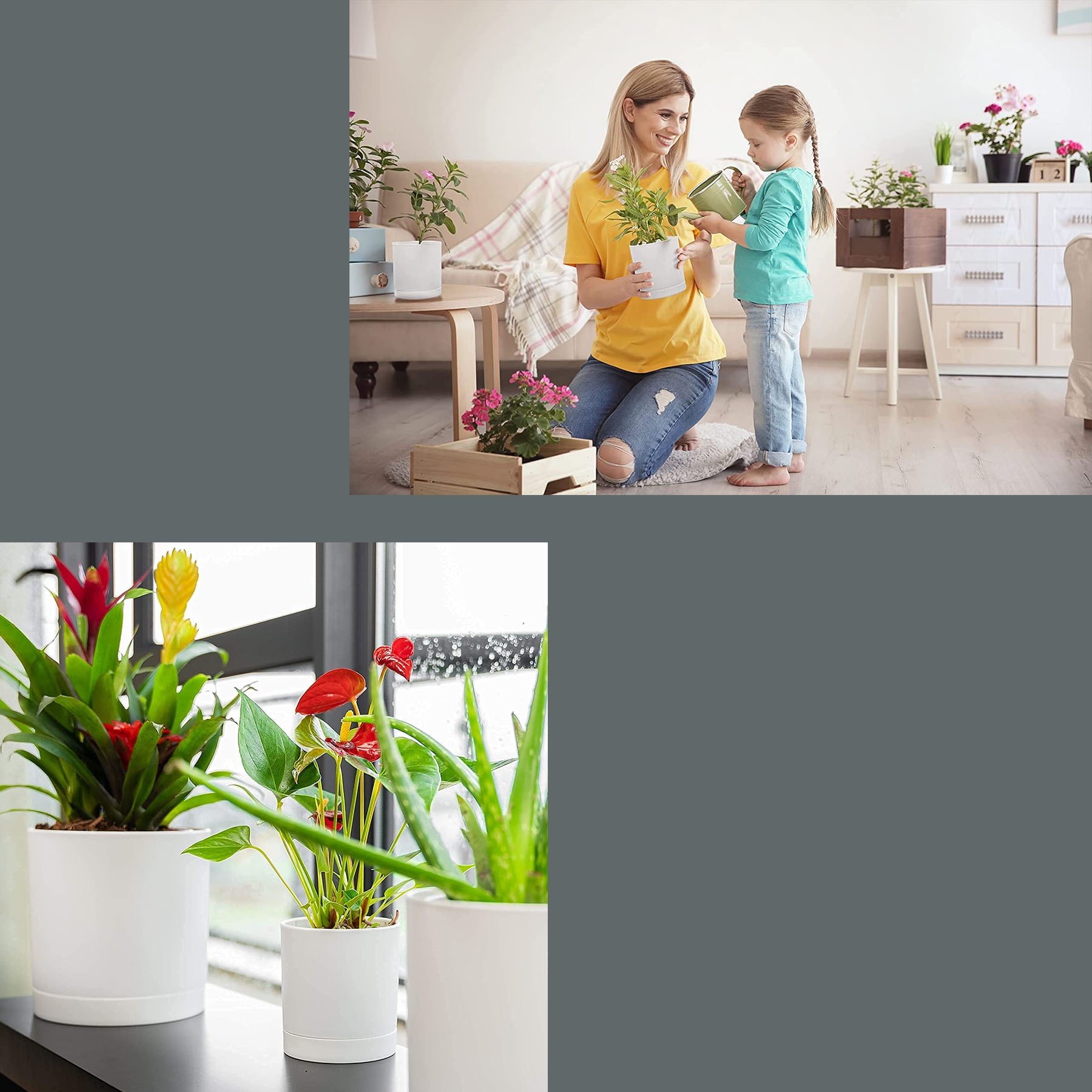 Plastic Planters with Drainage Saucers (Set of 4) Indoor Flower Pots