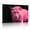 A, variant on XaaKee Wall Art Canvas Art Prints Hot Pink Isolated Feline Modern Abstract Canvas Prints Wall Art Inner Framed 18*12Inch