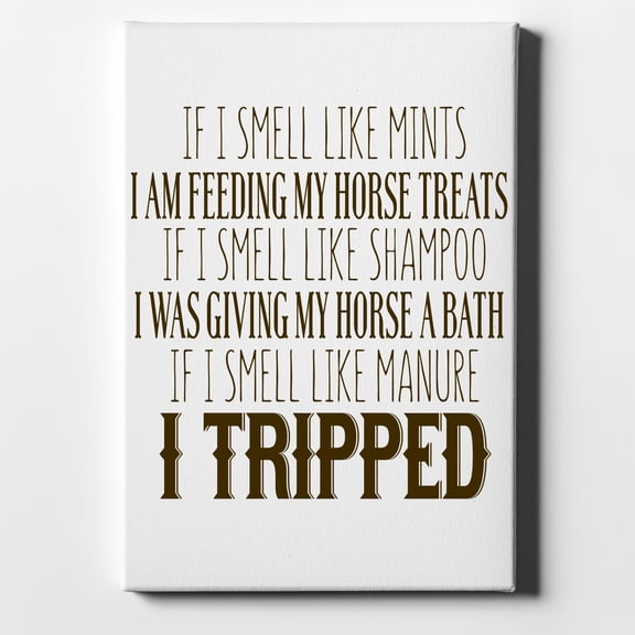 Smell Like Horse Treats, Shampoo, Manure - 11" x 14" - Decorative Canvas Wall Art - White Edge - 5/8" Gallery Wrapped