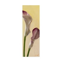 Trademark Fine Art 'Pink Floral Bell 1' Canvas Art by Pablo Esteban