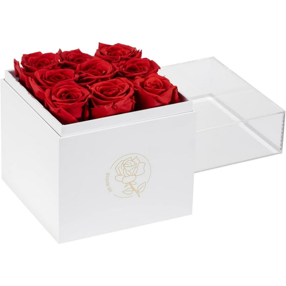 9pcs Preservd Rose in Acrylic Box Eternal Flower That Lasts 4 Years Gifts for Girlfriend Wife Mom Women Valentines Day Anniversary Birthday Mothers Day(Sky Blue)