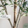 thumbnail image 4 of Maia Shop 5ft Artificial Olive Tree, Fake Plants for Home Decor, 4 of 8