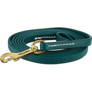 J&J Dog Supplies Biothane Dog Leash, 1/2" Wide by 6' Long, Hunter Green