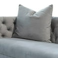 thumbnail image 2 of Reba 57 Inch Loveseat with 2 Pillows Gold Steel Frame Light Gray Velvet, 2 of 5
