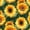 Color 4, variant on Peel and Stick Wallpaper green emerald shine bright gold marble 24in x 118in Contact Paper Removable Self Adhesive Wall Mural Wall Decor for Bedroom Kitchen Cabinets