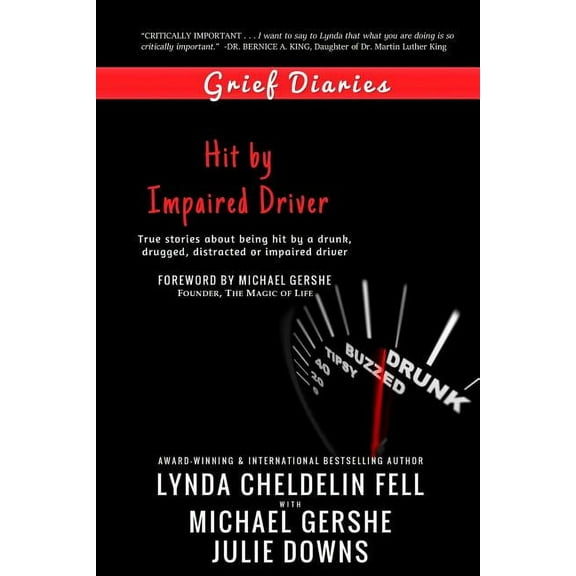 Grief Diaries: Hit by Impaired Driver, (Paperback)