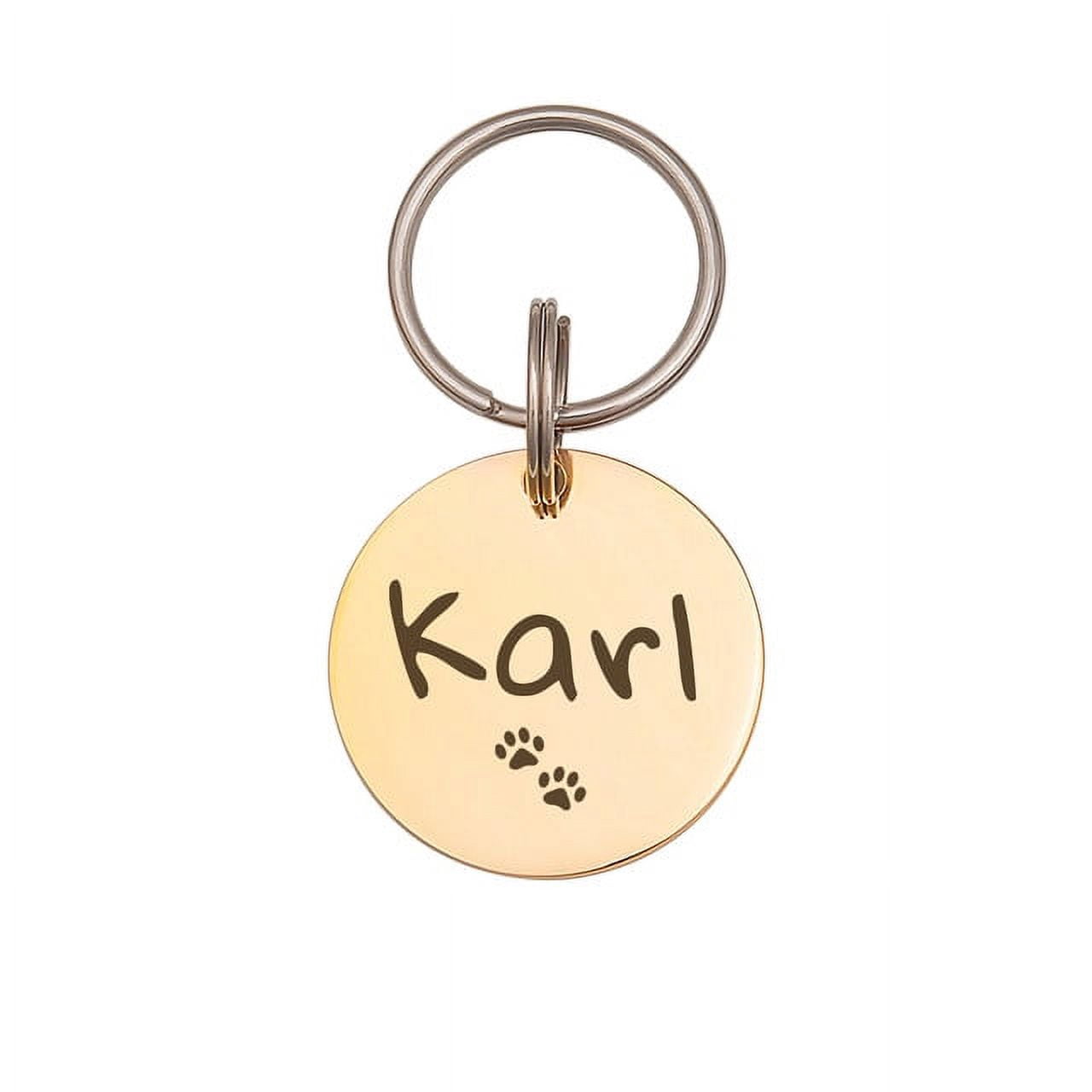 Anavia Stainless Steel Double Sided Round Name and Icon Engraved Dog & Cat ID Tag, Multi-color, M