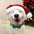 thumbnail image 6 of Sunyuer 2 Pack Christmas Dog Collar with Bow Tie Red Green Buffalo Plaid Dog Pet Collar Adjustable for Small Medium Large Dogs Cats, 6 of 7