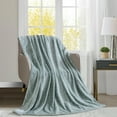 Better Homes & Gardens Polyester Velvet Plush Throw, Green River, 50" x