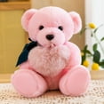 thumbnail image 1 of Teddy Bear Plush Doll Pink 30cm, 1 of 3