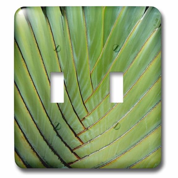 3dRose, Belize, Placencia. Detail of Travelers palm., double toggle switch