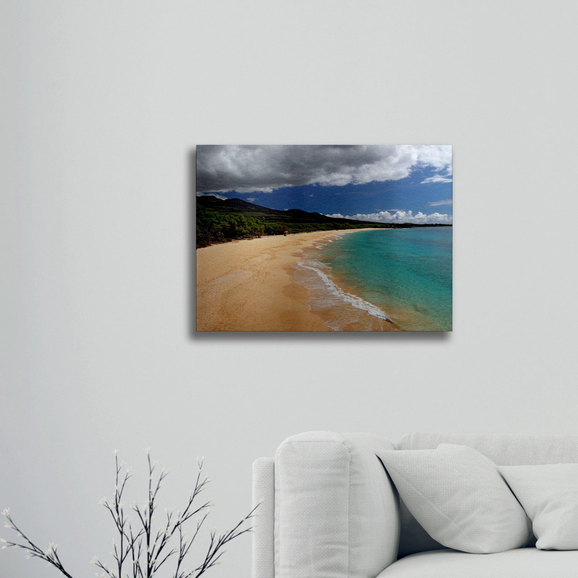 Trademark Fine Art 'Makena Maui' Brushed Aluminum Wall Art Art by Pierre Leclerc
