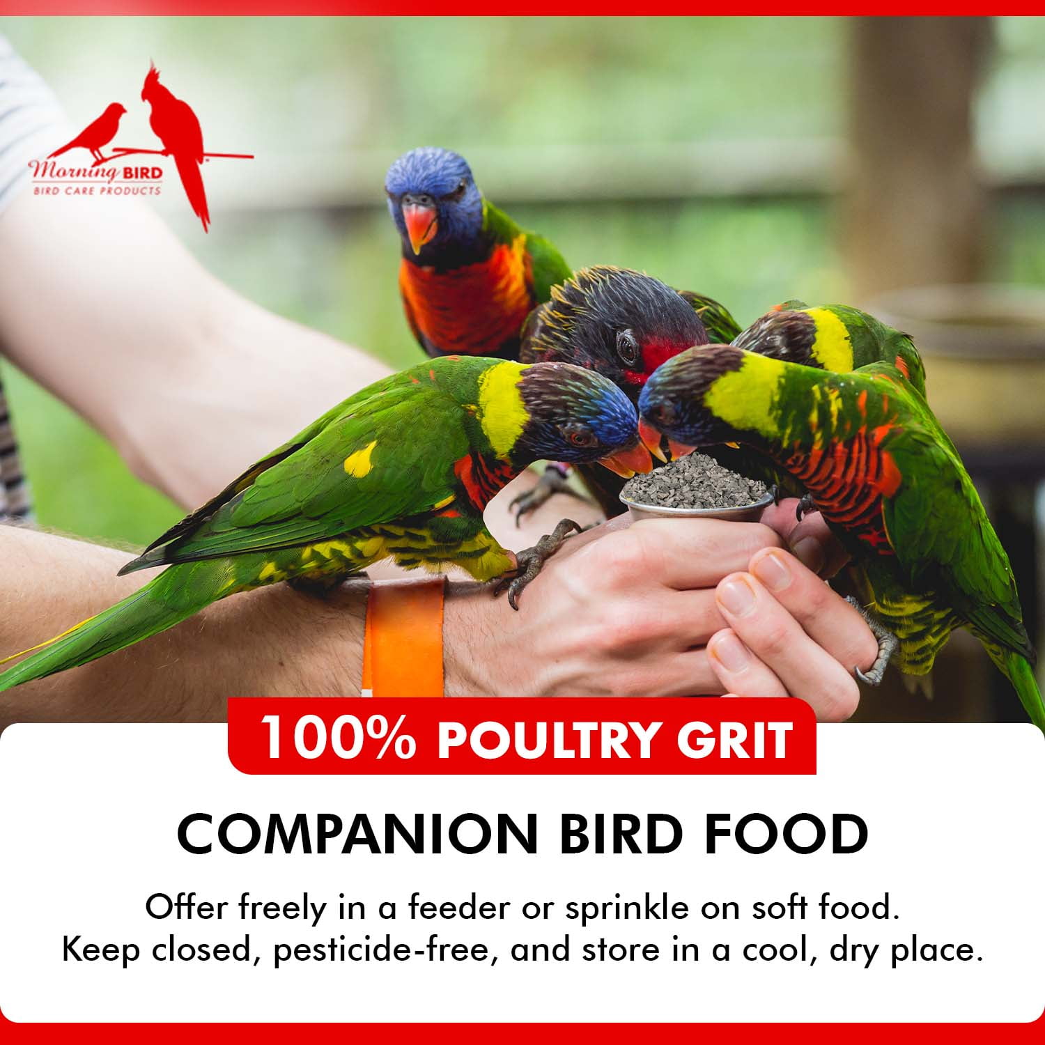Morning Bird Poultry Grit, Mineral-Rich Feed for Digestion & Calcium Support, 4.5 lb (3 Pack, 1.5 lb Each)