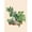 SKU-09, variante sur Affiche de Rempotage de Plantes Jardin Familial Rempotage Style Mignon Peinture sur Toile Art Mural pour Décoration Esthétique Moderne Salon Maison 50 x 70 cm (Sans Cadre), SKU-09