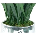 thumbnail image 3 of Vintage Home Grass in Round Ceramic Pot, 3 of 4