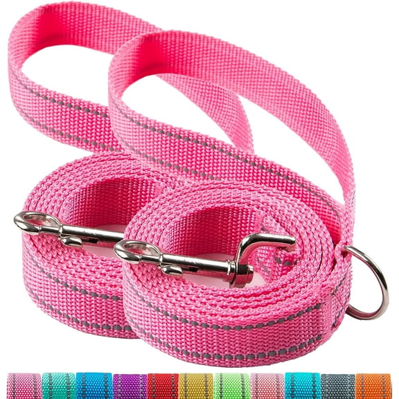 2-Pack 6FT Reflective Dog Leash for Large&Medium and Small Dogs, Strong and Durable Nylon Leashes for Walking and Training, 6 Foot Dog Leash with D Ring for Puppy,1 inch X 6FT(Pink&Pink, 2-Pack)