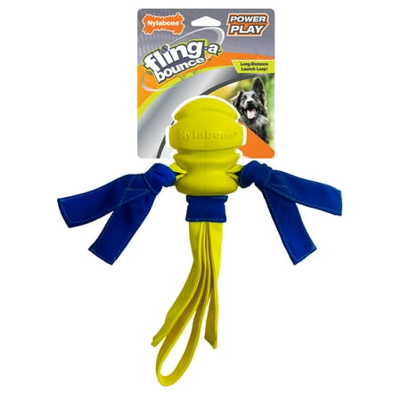 UPC: 0018214848738 | Nylabone Power Play Fling-a-Bounce Interactive Dog Toy 1ea/Large/Giant – Up To 50 lb