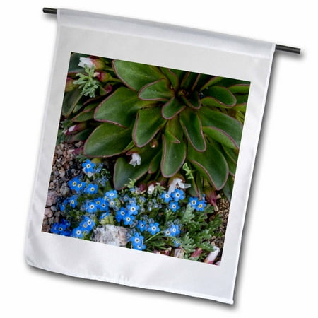 Paired Patio Homes Colorado Springs 3dRose USA, Colorado, American Basin, Alpine Spring Beauty and Forget-Me-Not - Garden Flag, 12 by 18-inch ()