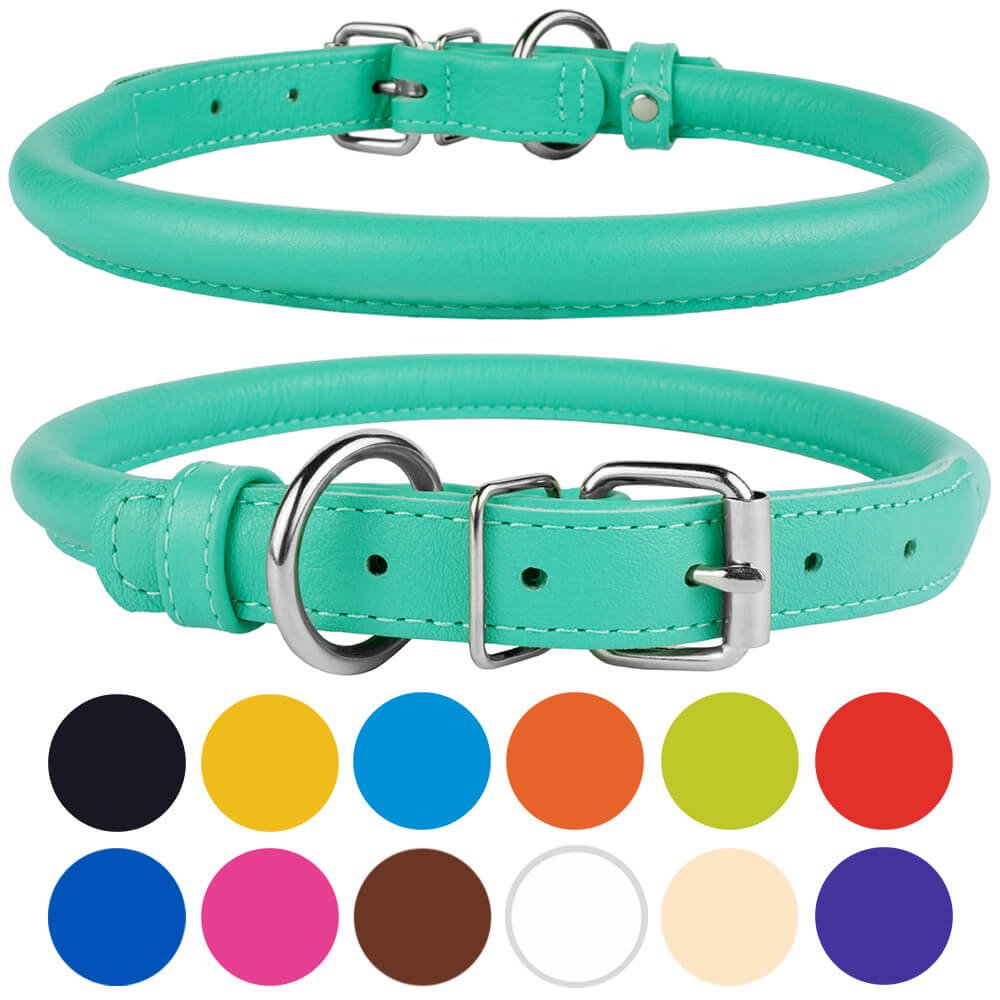 Rolled Leather Dog Puppy Collar X Small, Mint