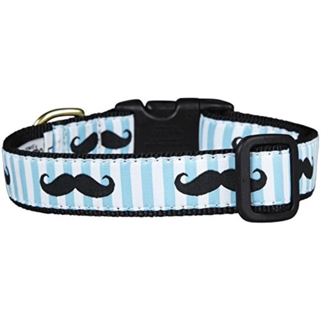 mustache dog collar