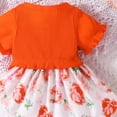 thumbnail image 4 of Toddler Baby Girl Dress Floral Short Sleeve Casual Beach Sundress Princess Skirt Clothes Summer Baby Dresses, 4 of 7
