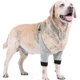 thumbnail image 2 of Coderas ajustables para patas delanteras de perro, protección para recuperación de lesiones quirúrgicas, 1 par, 2 of 5