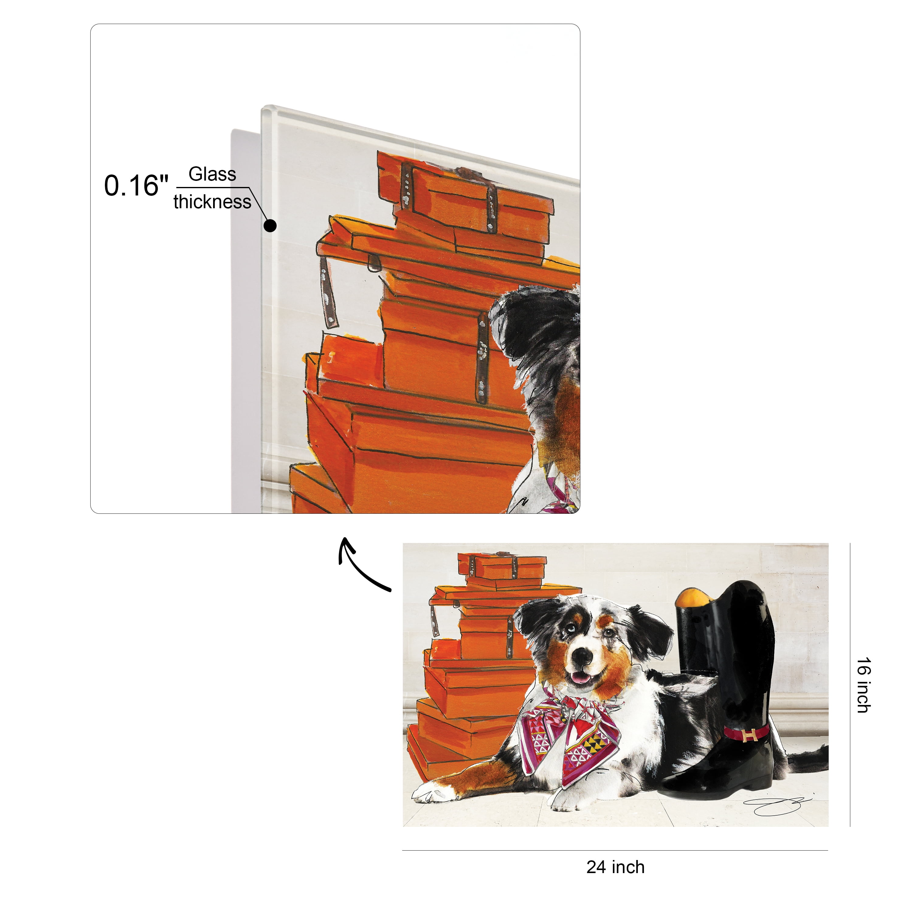 Empire Art Direct Ride in Style Border Collie Frameless Free Floating Tempered Glass Panel Graphic Wall Art, 16" x 24" x 0.2", Ready to Hang