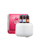 thumbnail image 1 of DIFUSOR OLIBEL CON 7 ACEITES ESCENCIALES. OLIBEL (LAVANDA/ORANGE/TEA TREE 5 ML) CAJA C/ 1 PZ, 1 of 4