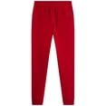 thumbnail image 6 of Southpole Boys Sweatpants - 2 Pack Cozy Fleece Joggers for Boys with Drawstring Waistband (Size: 8-20), 6 of 7