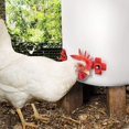 thumbnail image 2 of Bebedero de pezón automático, bebedero de pezón de gallina, bebedero de pollo de agua, bebedero de gallina de goteo, bebederos de agua de pollo de plástico, para codorniz de pollo, 4 piezas H239 esquí esquí Gafas de esquí, 2 of 5