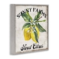 thumbnail image 3 of Stupell Industries Traditional Sunny Farms Sweet Lemon Gray Framed Giclee Art, 17 x 17, by Creatif Belle, 3 of 8