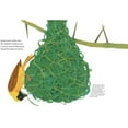 thumbnail image 4 of Mama Built a Little Nest By Jennifer Ward, 4 of 5