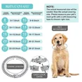 thumbnail image 2 of Collar Para Perro, Gato, Cadena Cubana, Con Diamantes, Caden, 2 of 8
