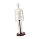 thumbnail image 4 of Modelo de acupuntura Escultura humana multiusos Figura de PVC de 20 pulgadas de altura con Hombre duro, 4 of 9