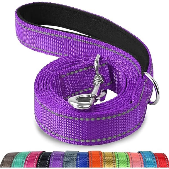 Eryueer Double-Sided Reflective Dog Leash, 6 FT/5FT/4 FT, Padded Handle Nylon Dogs Leashes for Walking, Training Lead for Small & Medium Dogs, Purple, 5FT