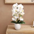 thumbnail image 1 of Artificial Orchid Arrangements with Large Vase 20-24 Inch Fake Flower Table Centerpiece Home Decor Indoor (Large White), 1 of 5