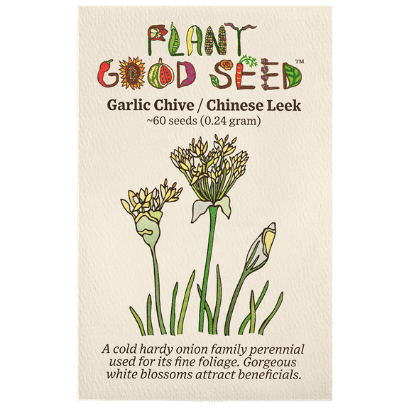 Garlic Chive / Chinese Leek Seeds