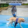 thumbnail image 3 of Calcetas impermeables antideslizantes para patas de perro Coodeo 3XL, 3 of 8
