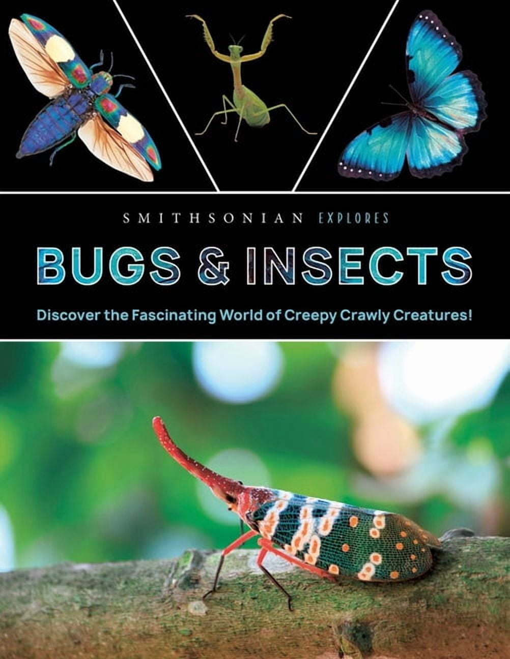 Encyclopedia of Insects: An Illustrated Guide to Nature's