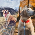 thumbnail image 6 of Long Dog Leash 30ft 50ft Reflective Training Heavy Duty Rope Dog Leash for Small Medium Large Dogs, 6 of 7