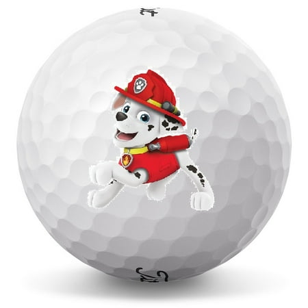 Titleist Pro V1 Golf Balls, 12 Pack