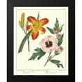 thumbnail image 2 of Edwards, Sydenham 15x18 Black Modern Framed Museum Art Print Titled - Gardeners Delight IV, 2 of 5