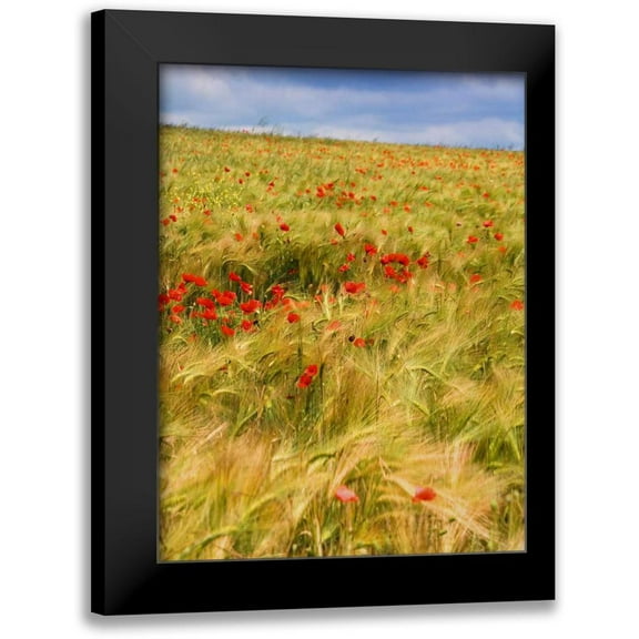 Chester, Colby 12x14 Black Modern Framed Museum Art Print Titled - Poppies in Field II