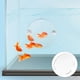 thumbnail image 2 of Espejo de entrenamiento para peces betta, espejo redondo acrílico con ventosas, 2 of 7