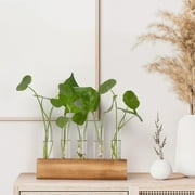 Desktop Plant Propagation Station, Dingrich 5 Glass Test Tube Plant Terrarium with Wooden Stand for Hydroponic Plants Home Office Home Decoration